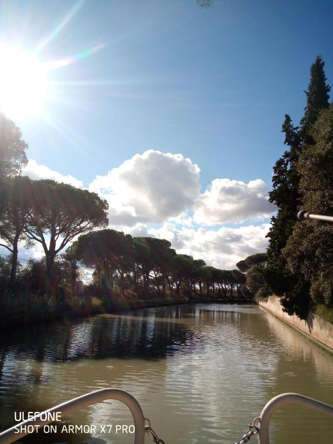 Villa Olive View Puissalicon Esterno foto